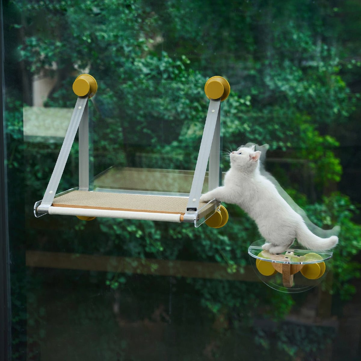 Cat Window Perch - Sunbathing Time