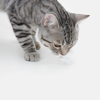 Electronic Cat Teasing Toy - Little Snow Elf