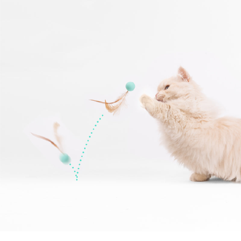 Cat Toy - Bouncy Balls (3 PCS)