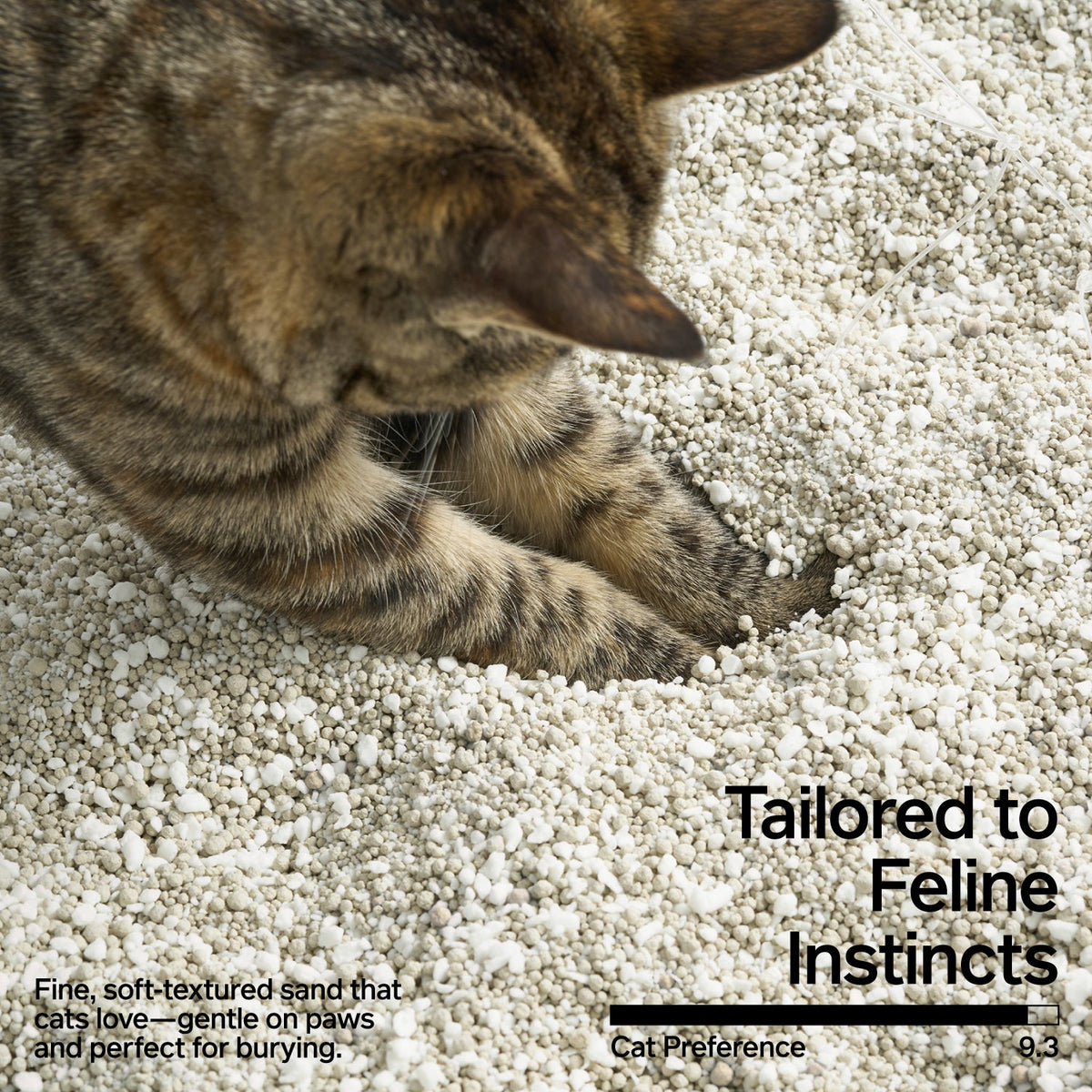 Cassava & Bentonite Cat Litter