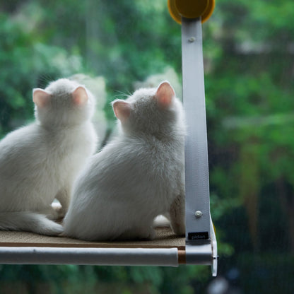 Cat Window Perch - Sunbathing Time
