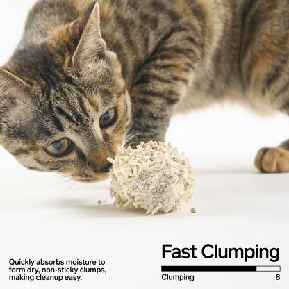 Cassava, Tofu, Bentonite Clay Cat Litter