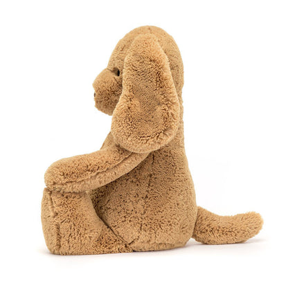 Bashful Toffee Puppy