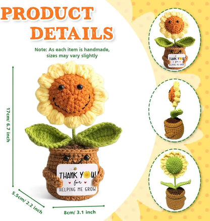 Positive Pocket Hug Mini Crochet Stuffed Doll Handmade Knitted Plush Potato Turtle Duck Funny Support Gift for Friend Home Decor