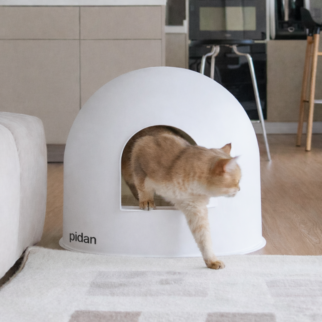 Igloo Cat Litter Box