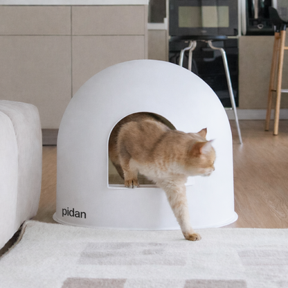 Igloo Cat Litter Box